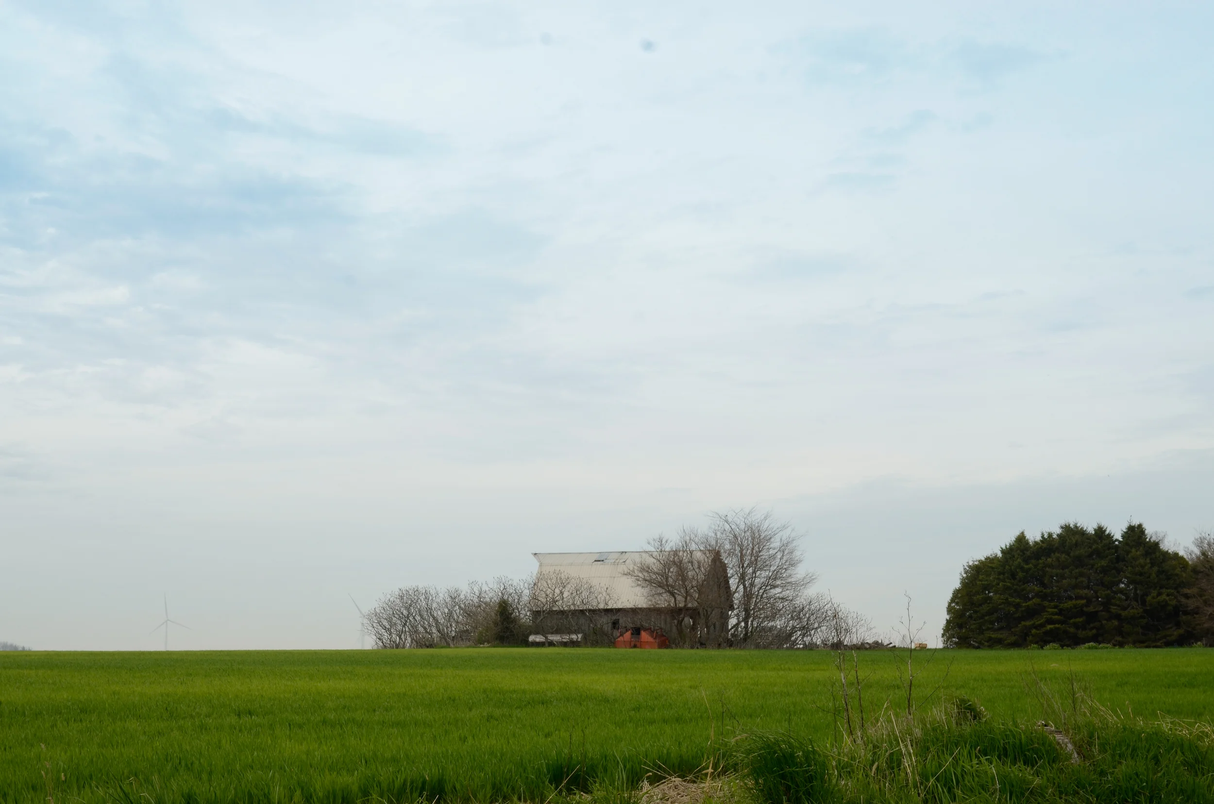 website_3-2596.jpg