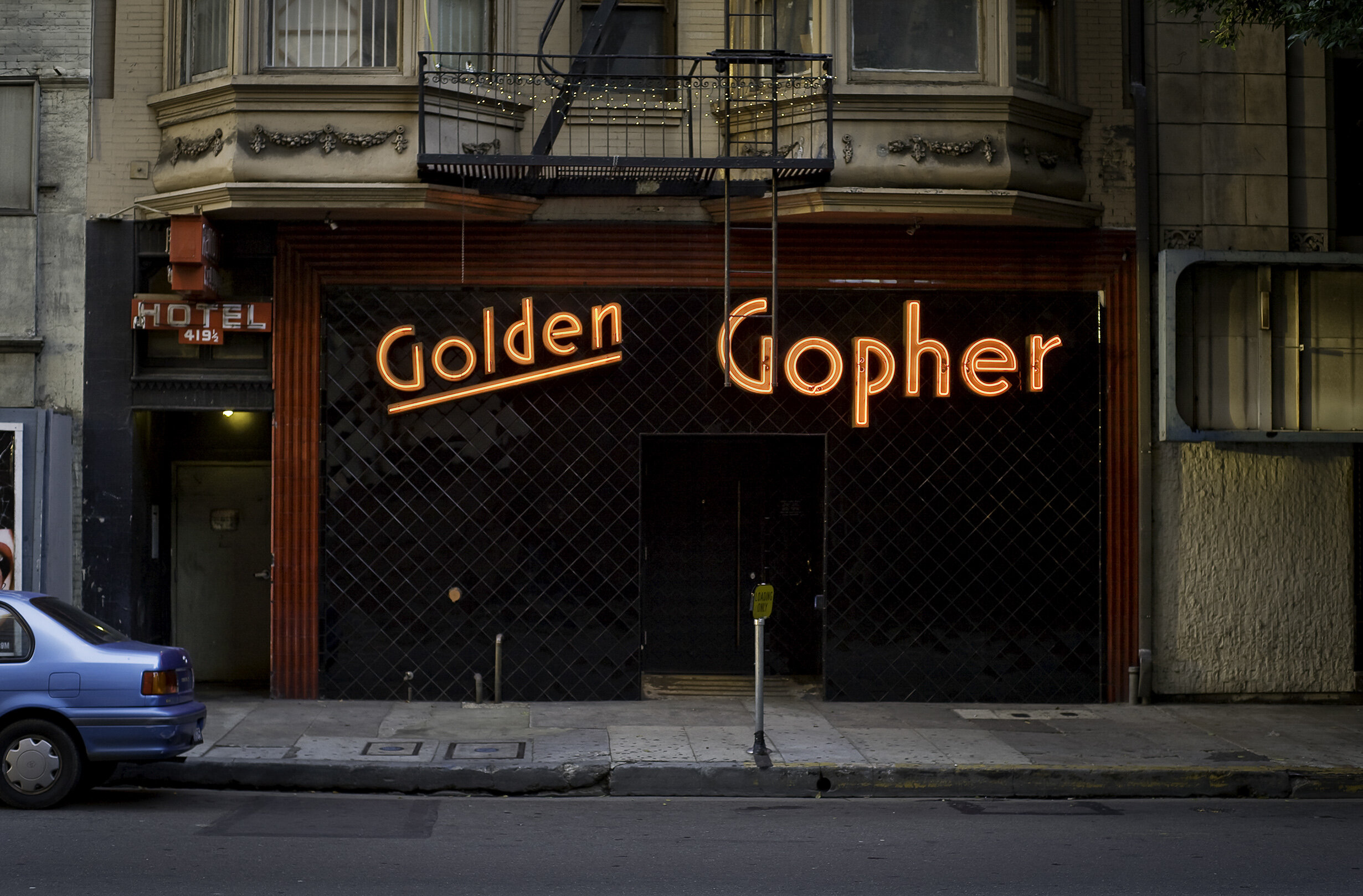 Golden Gopher 