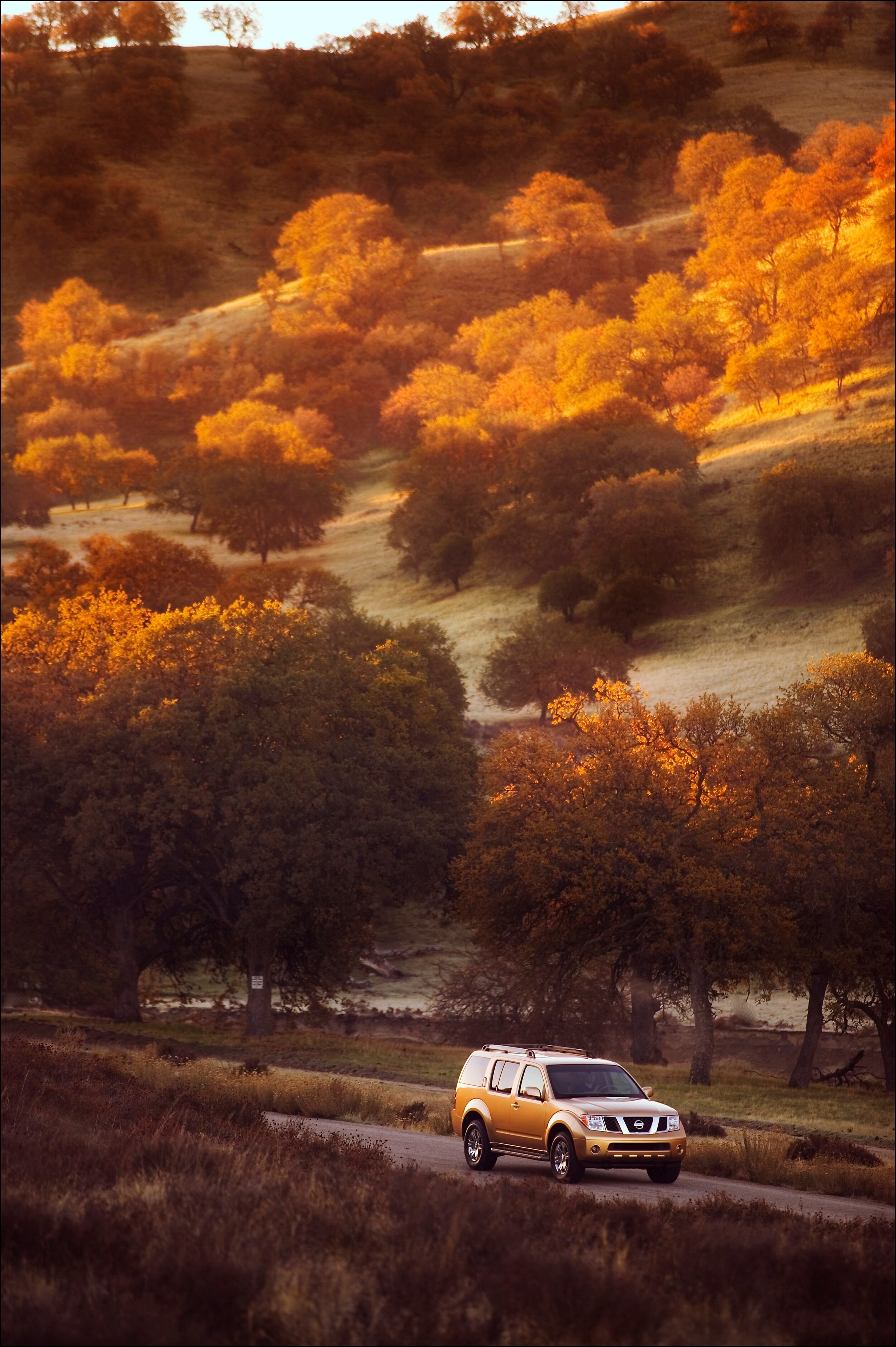 Nissan Pathfinder Jack Ranch CA