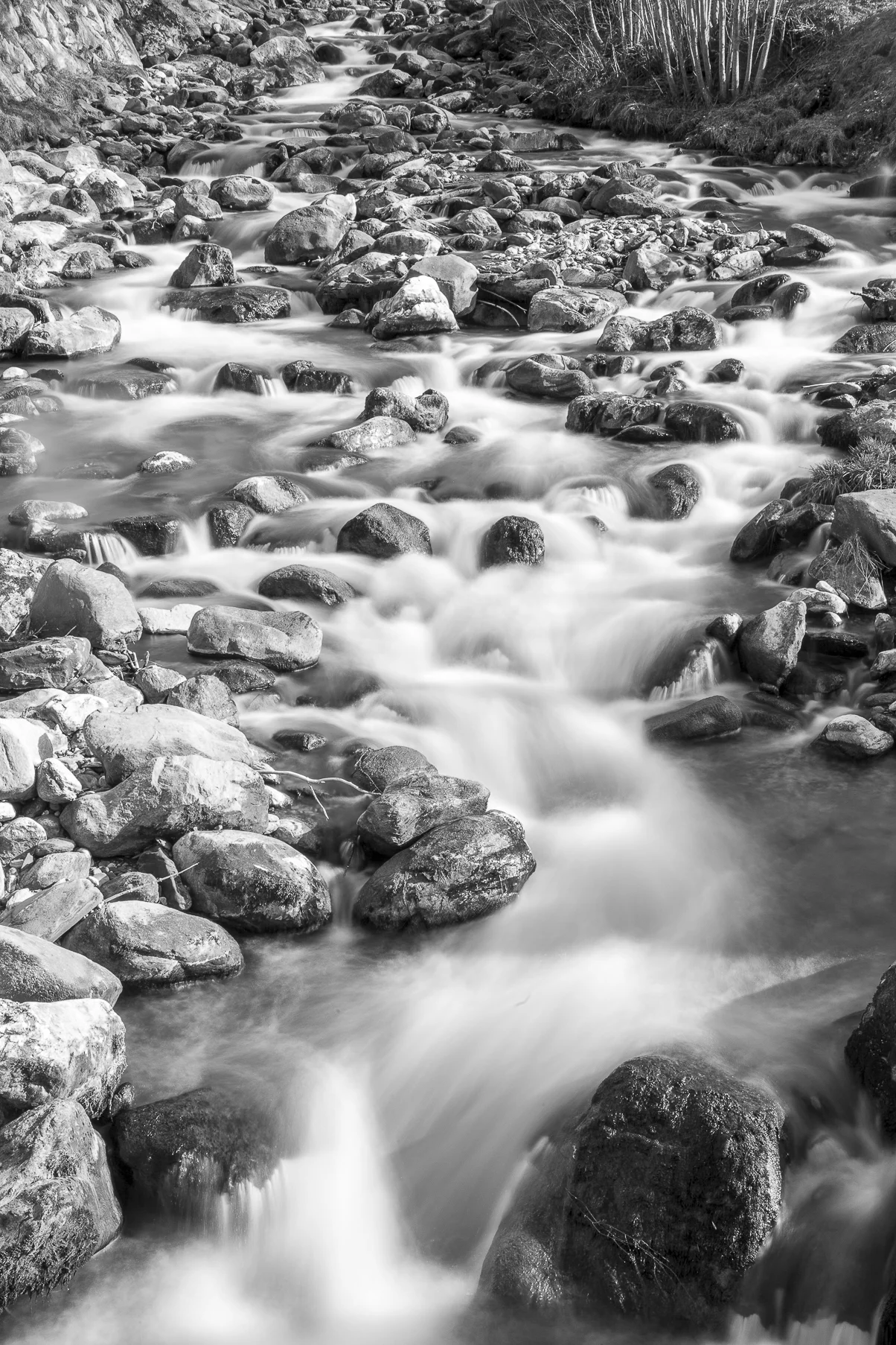 rapids.jpg