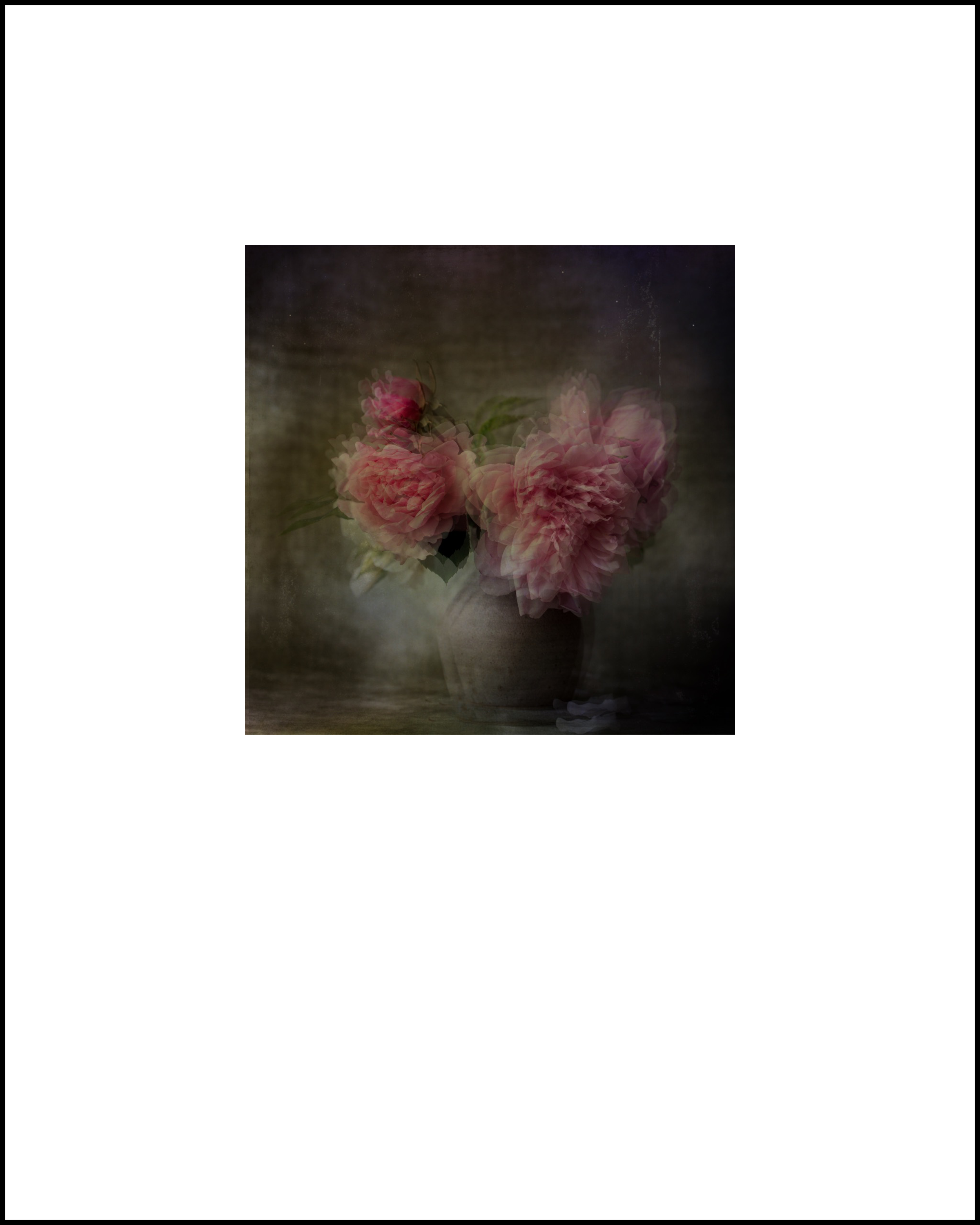 still_life4.png