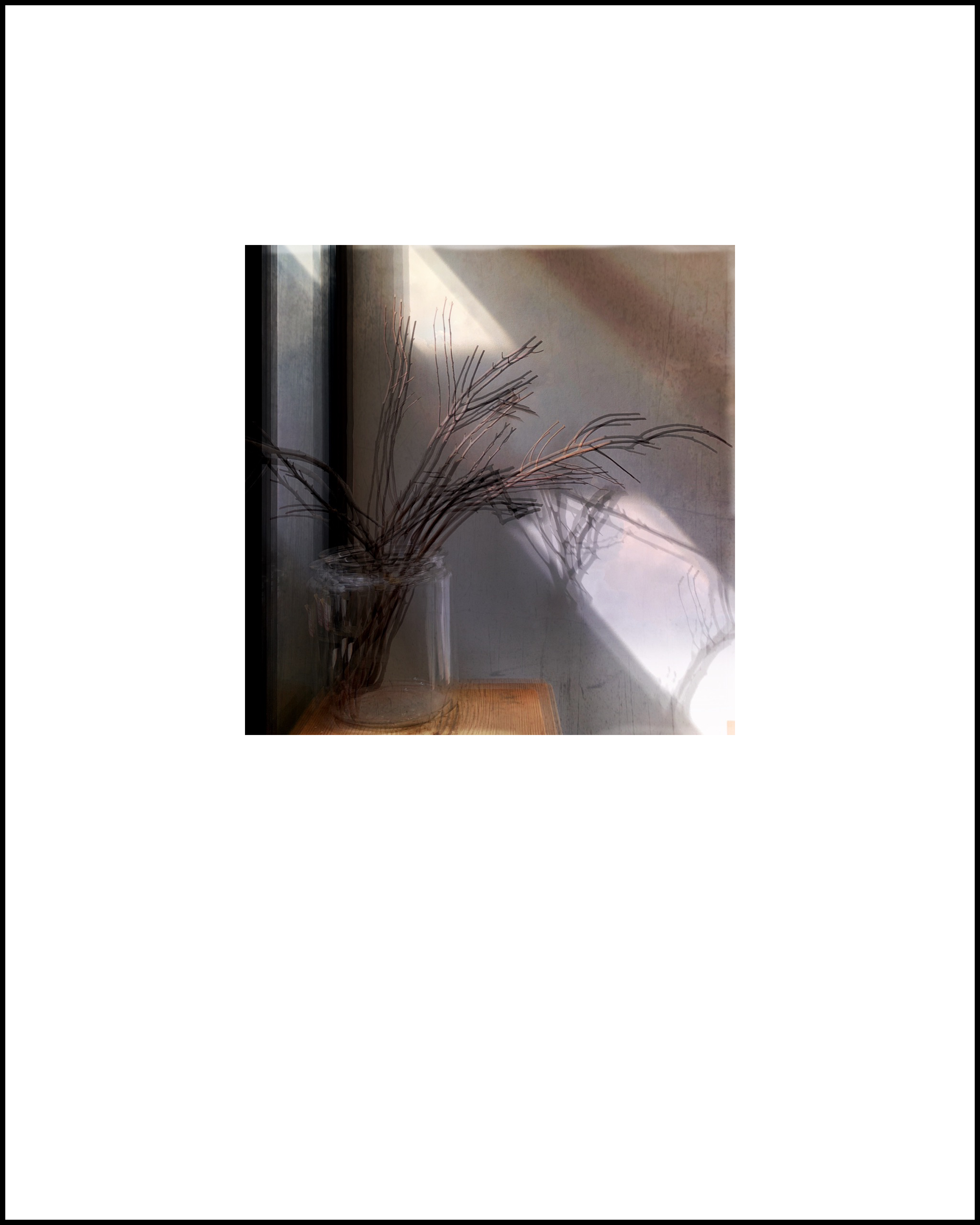 still_life7.png