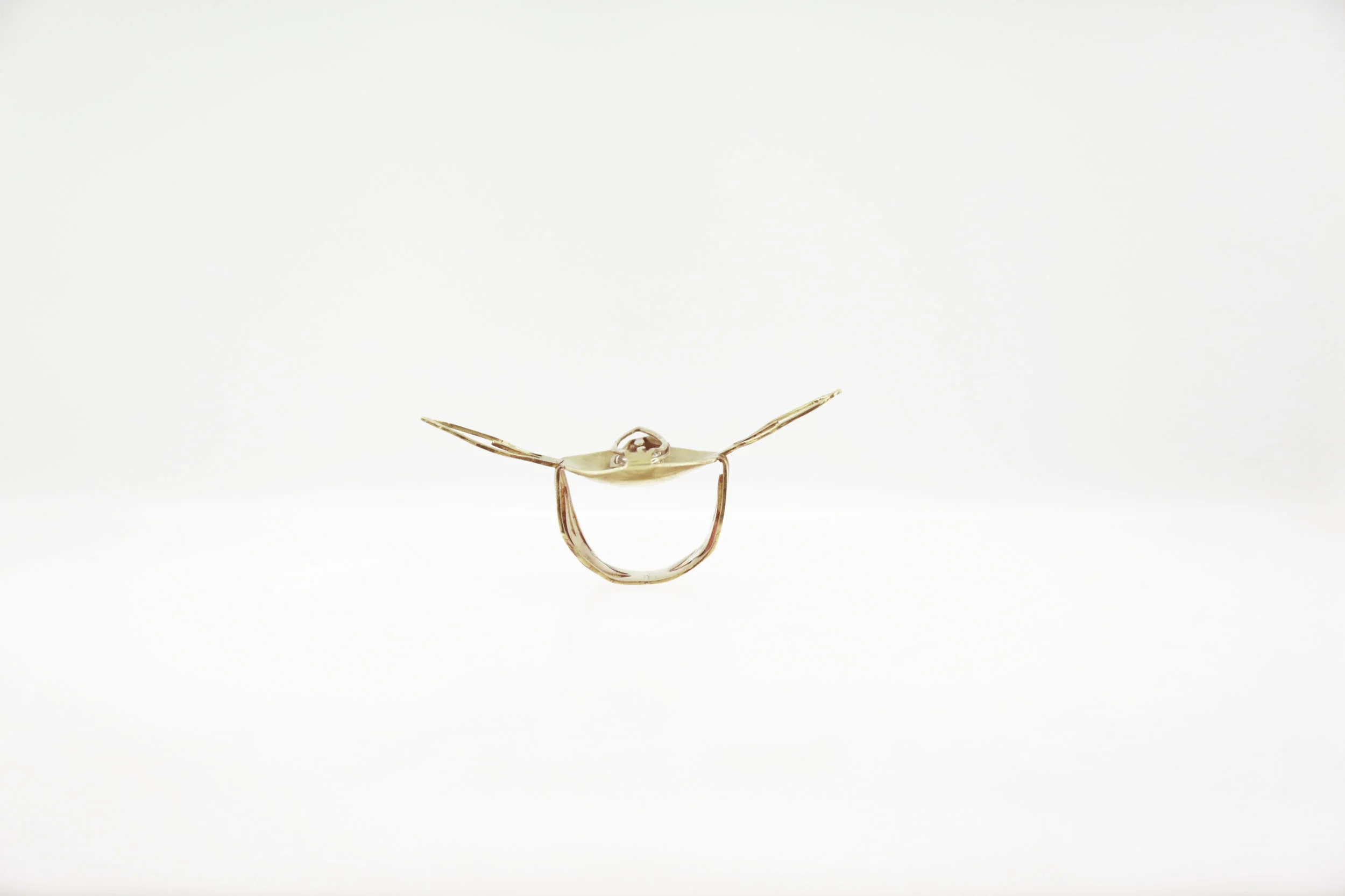 Cigar Band Ring II