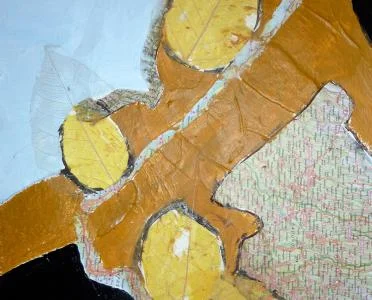 Sally Walker: Spaces