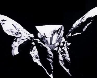 Ruth Humpton: Realistic/Imaginary Photographs