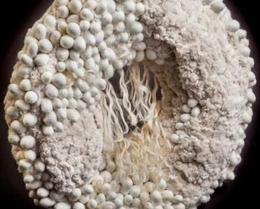 Carol Wisker: Densities