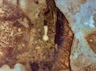 Nicole Patrice Dul:  Hauntings: Myths and Memories