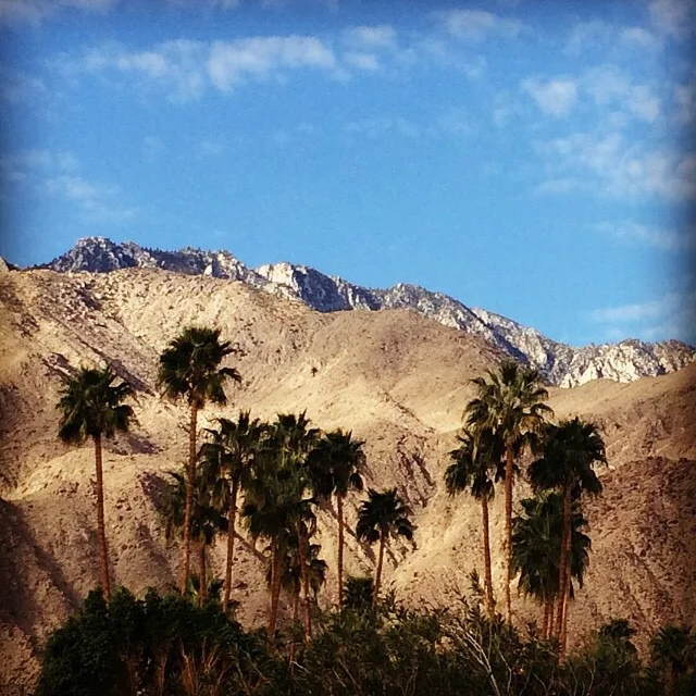 Andrea's Agenda - Palm Springs, California