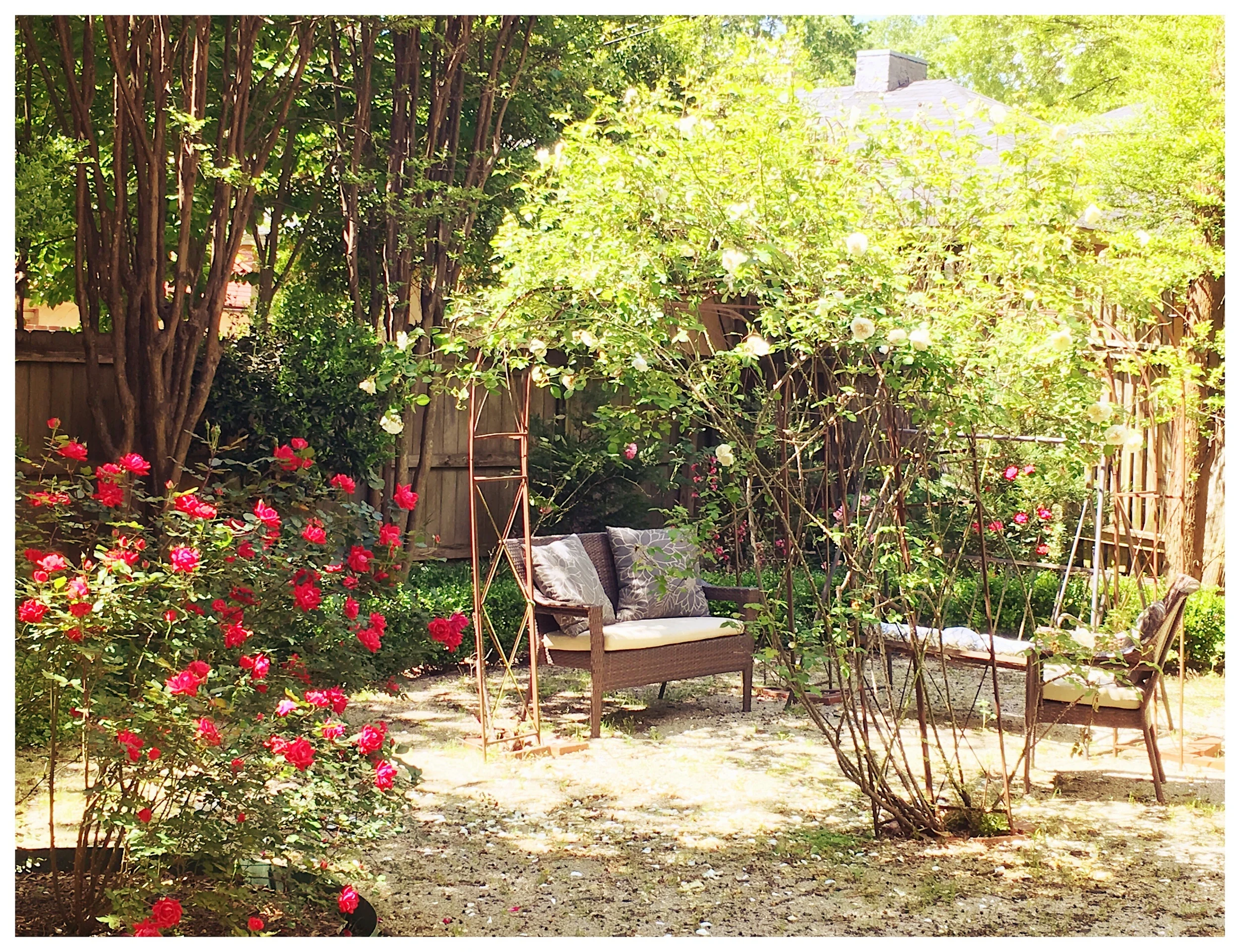 Our Magical Courtyard