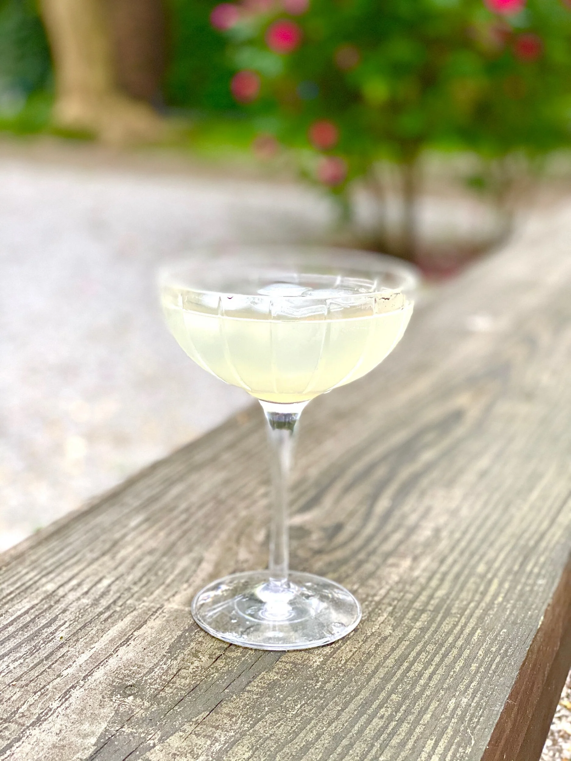 Best Ever Pregnancy Cocktails — Andrea's Cooktales