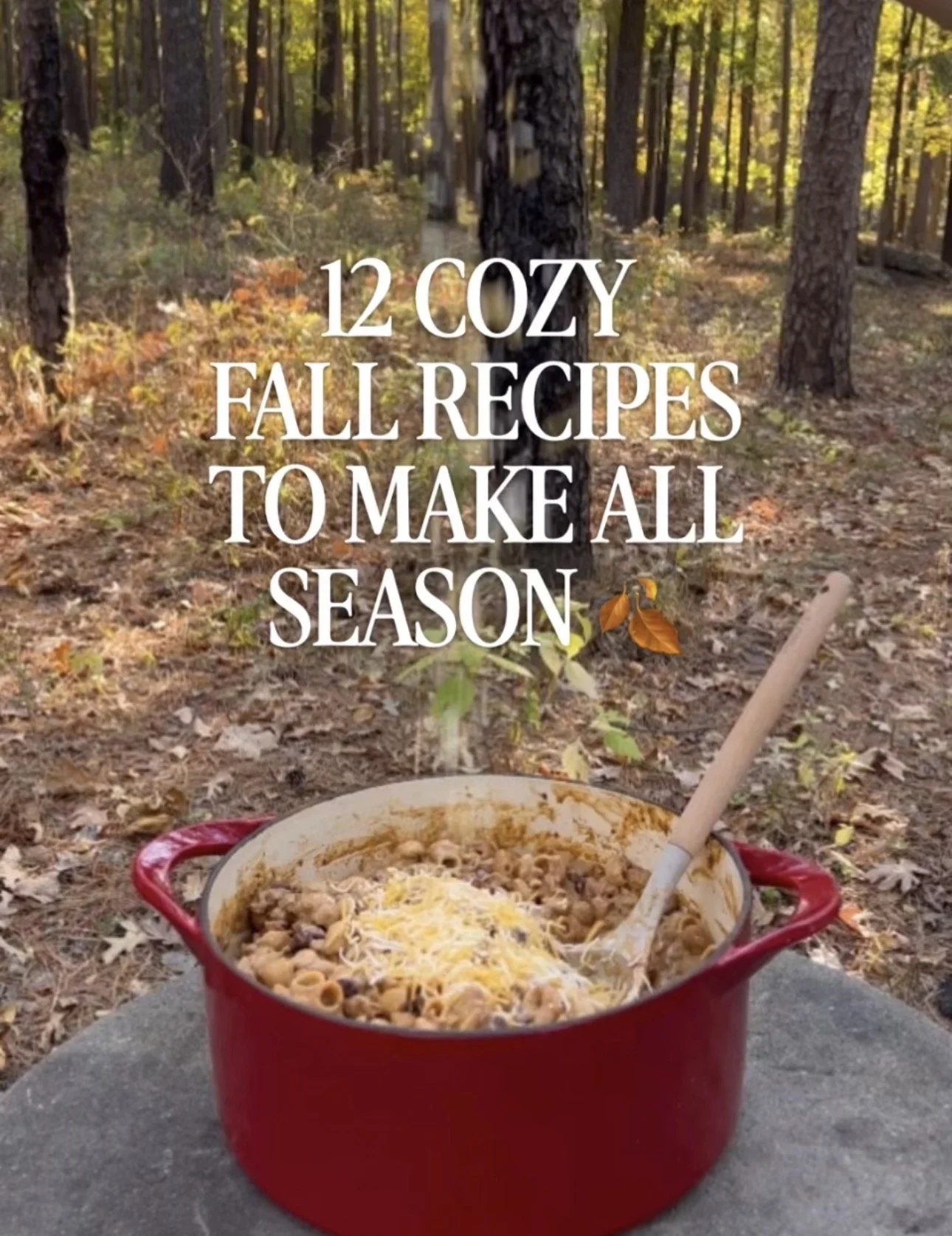 cozy fall recipes.jpg