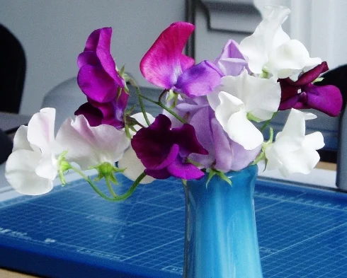 Painting Sweet Peas