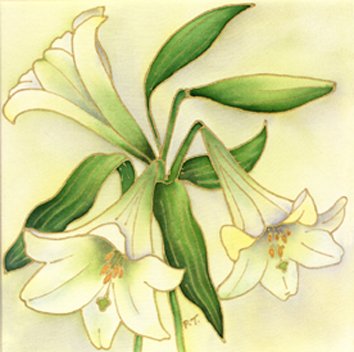 White Lilies