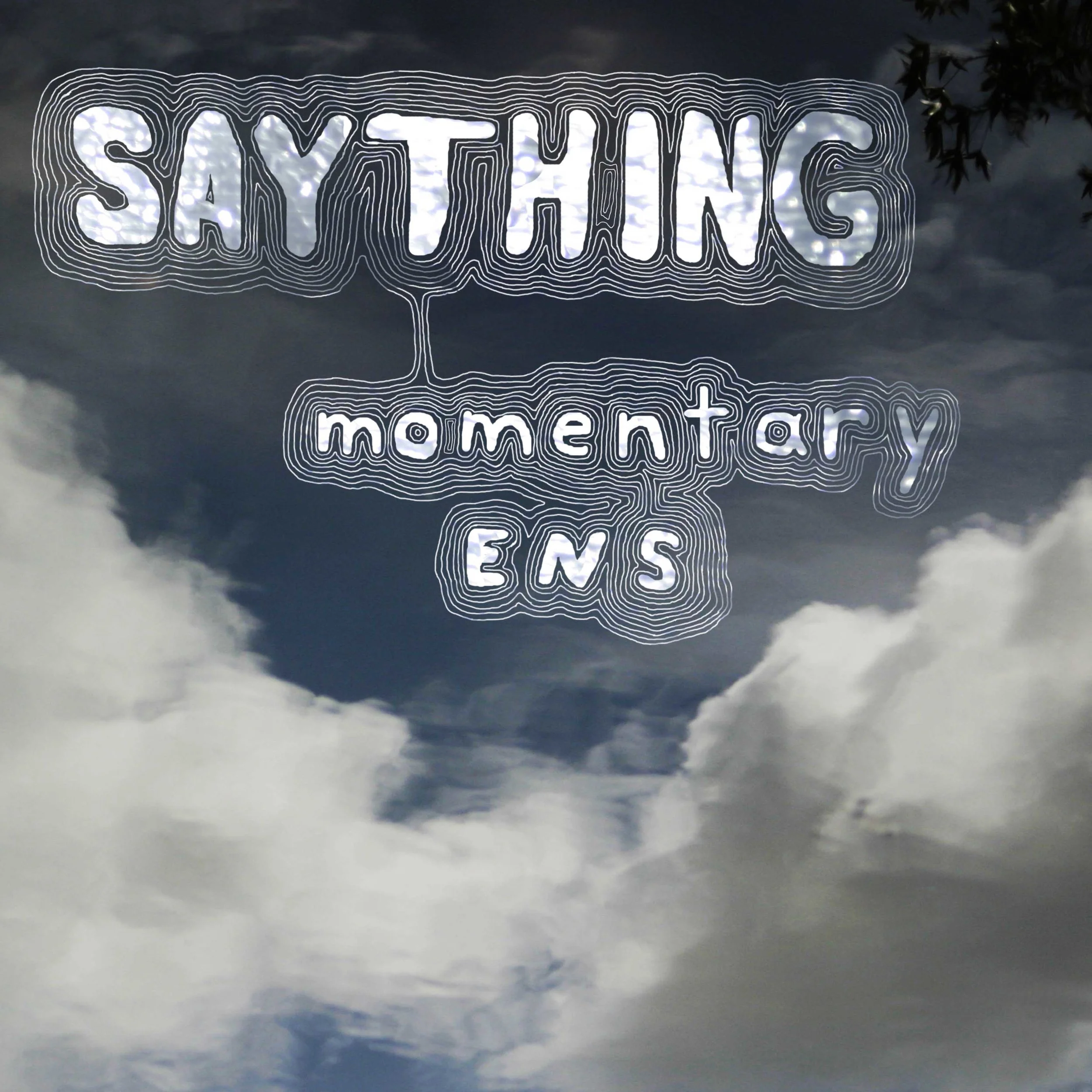 Momentary Ens Cover.jpg