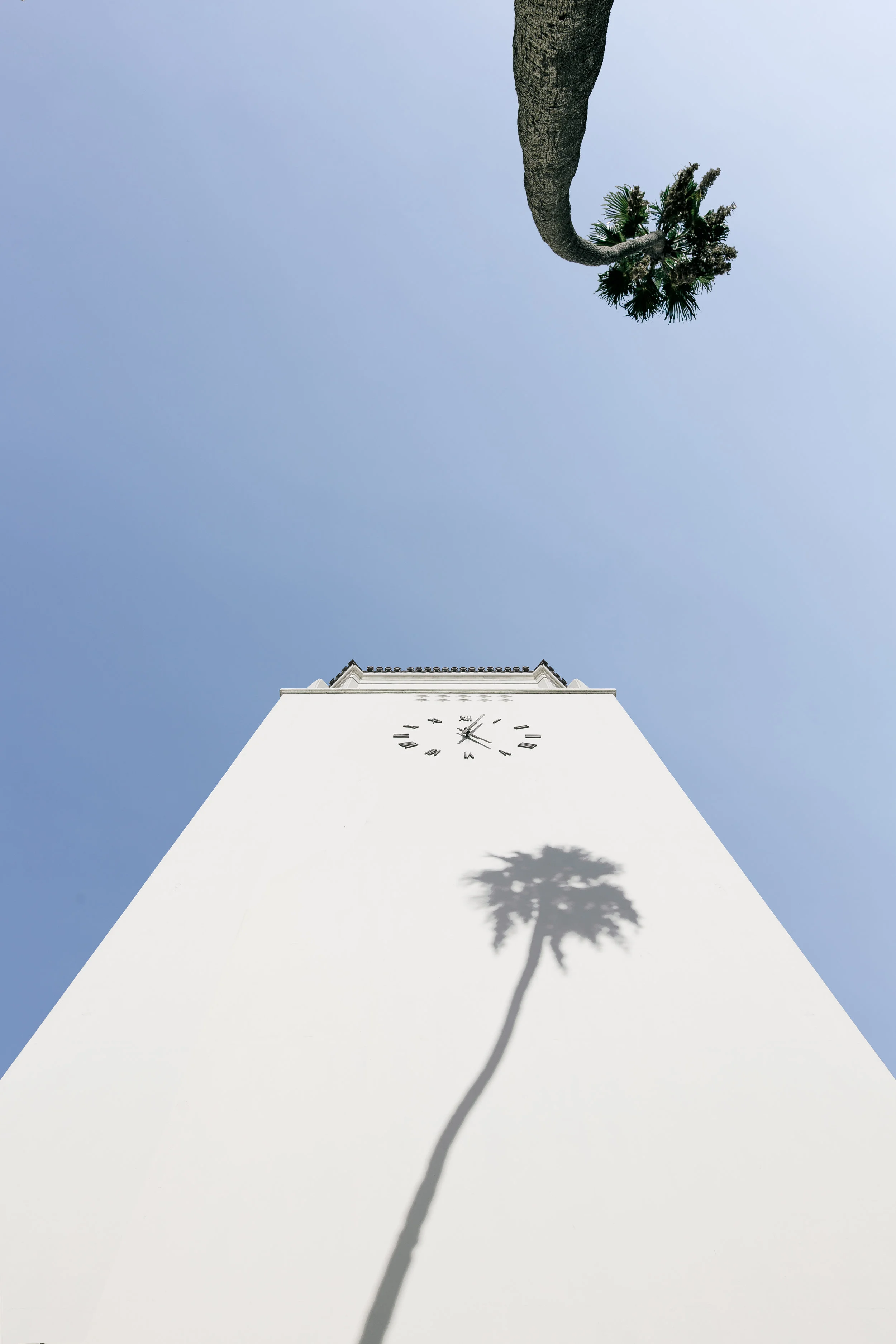 eatenbyflowers