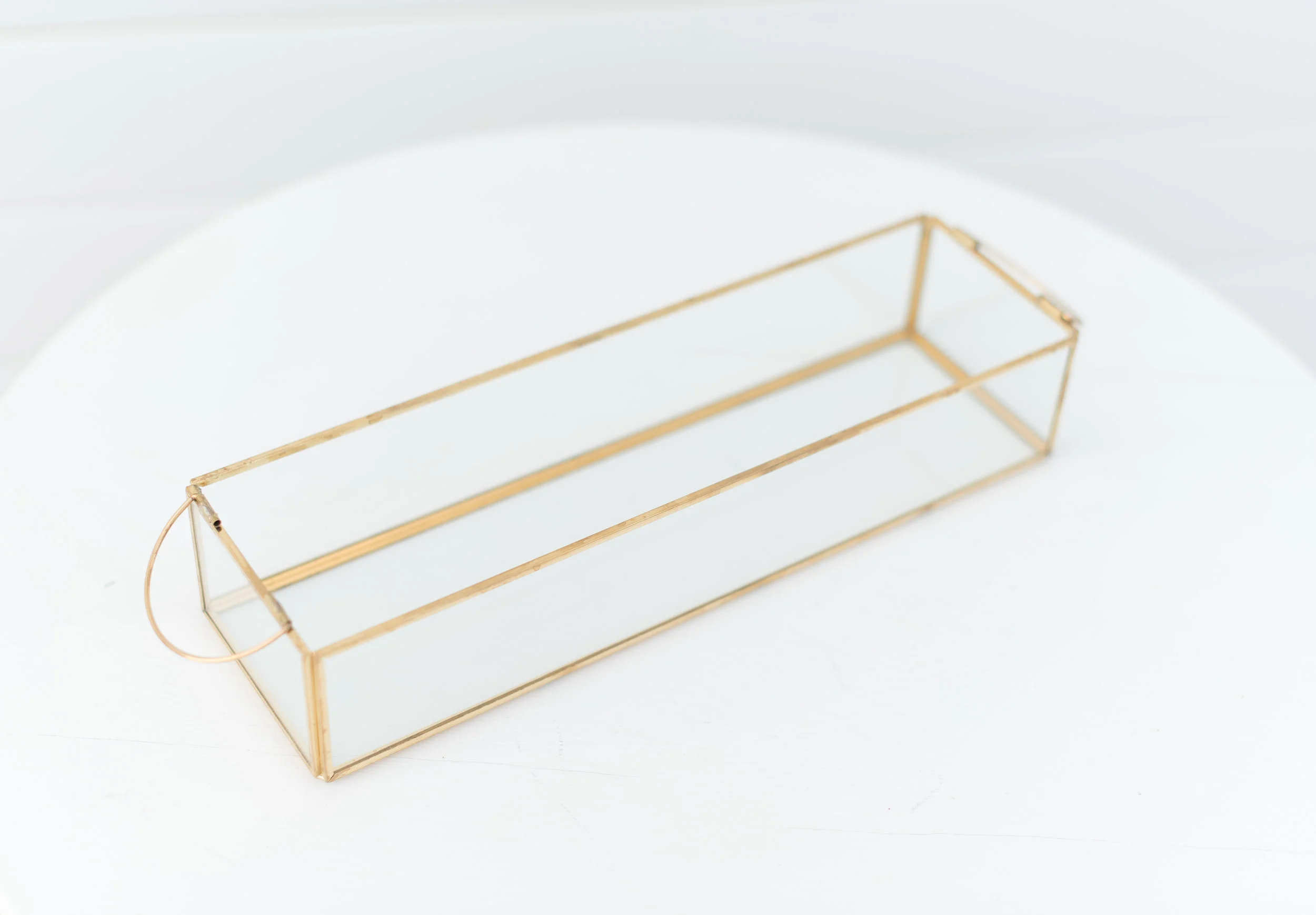 Rectangle Terrarium