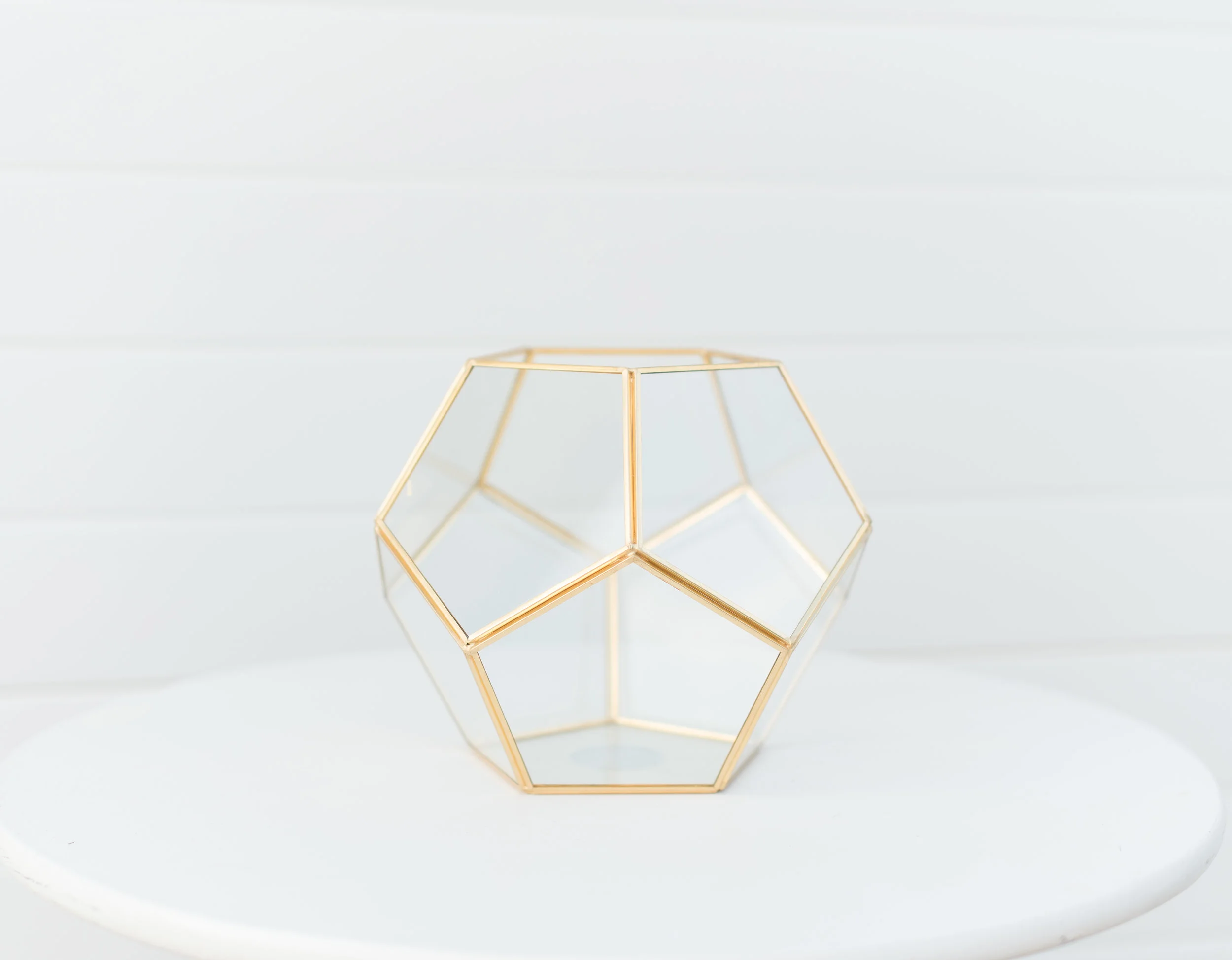 Large Globe Terrarium