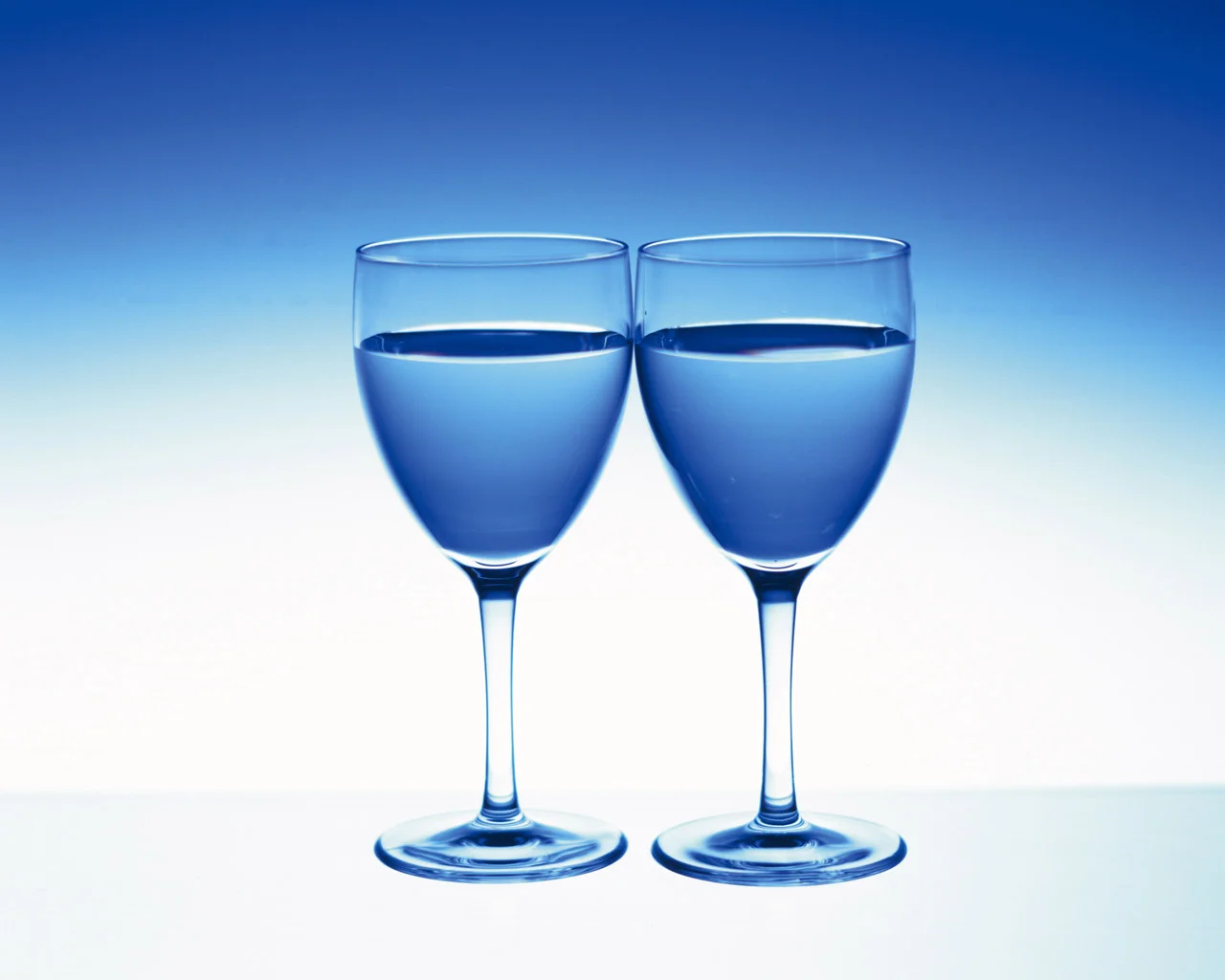 Pre-Launch Reception at Evolve