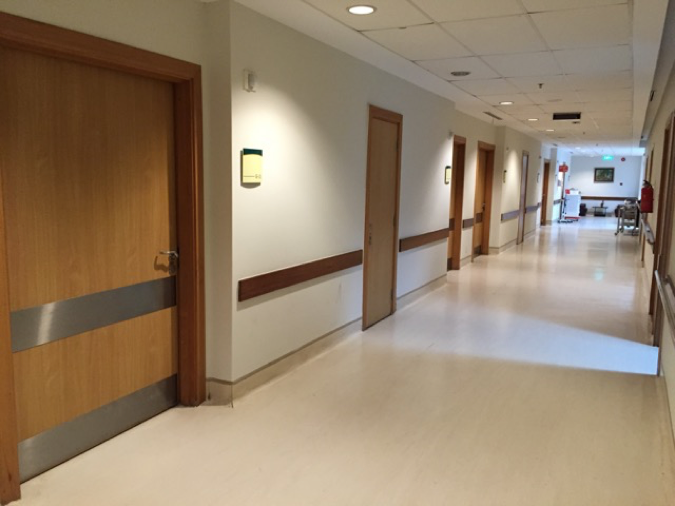 Pun Hlang Siloam Hospital