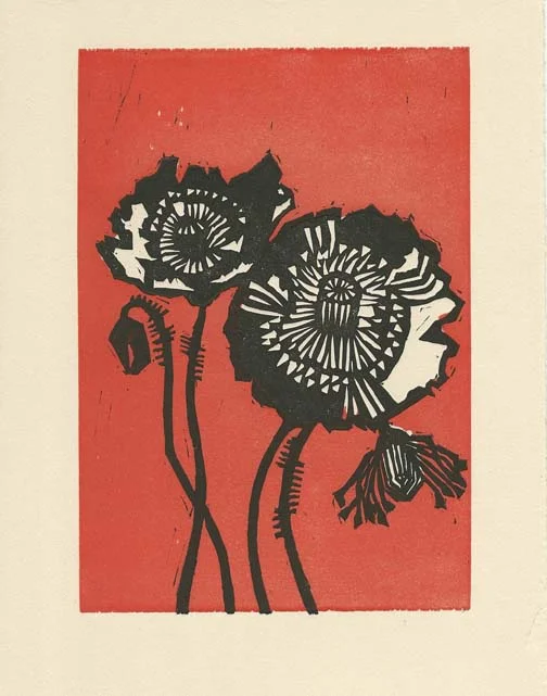 Icelandic poppies