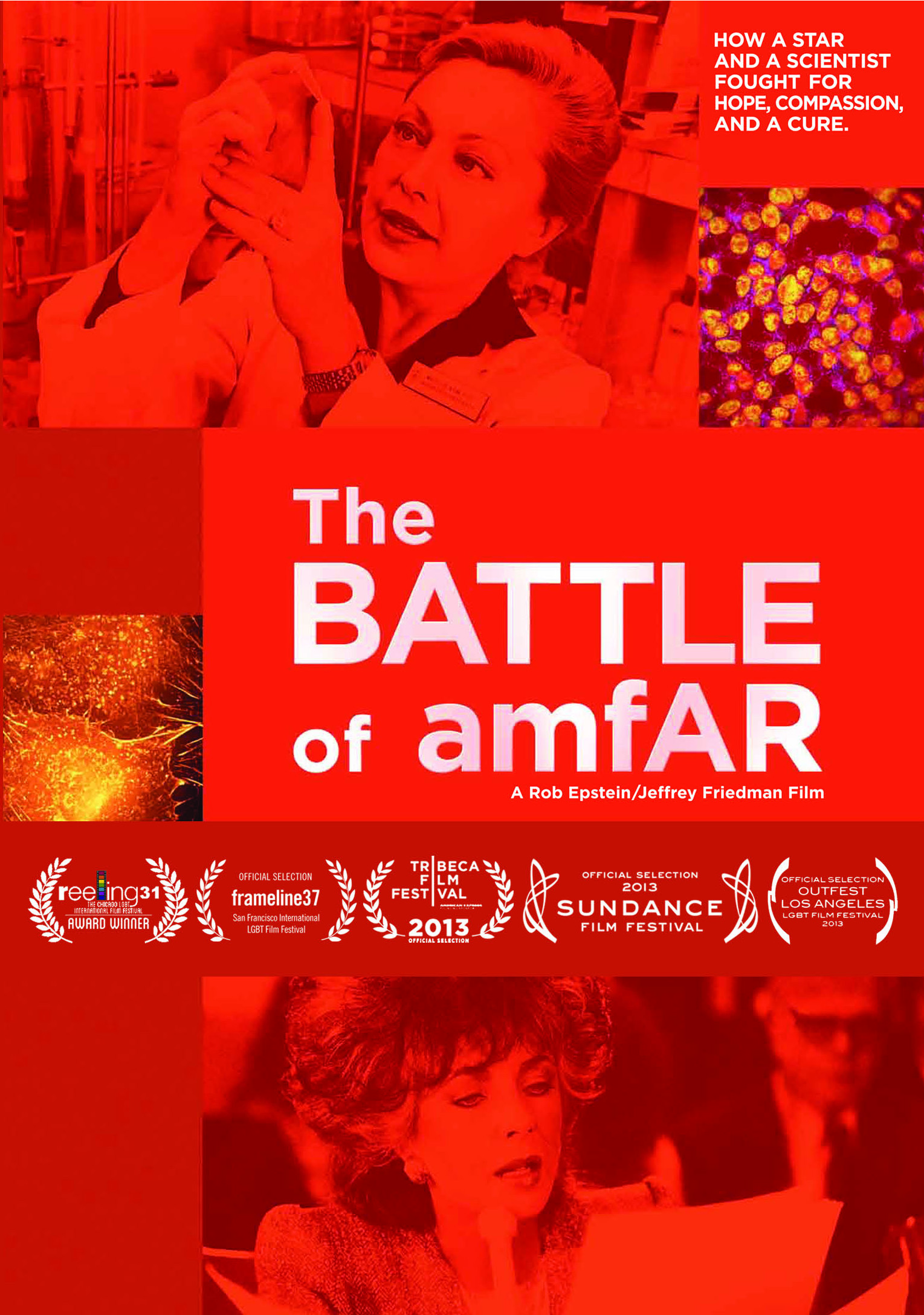 The Battle of Amfar_DVDcover.jpg