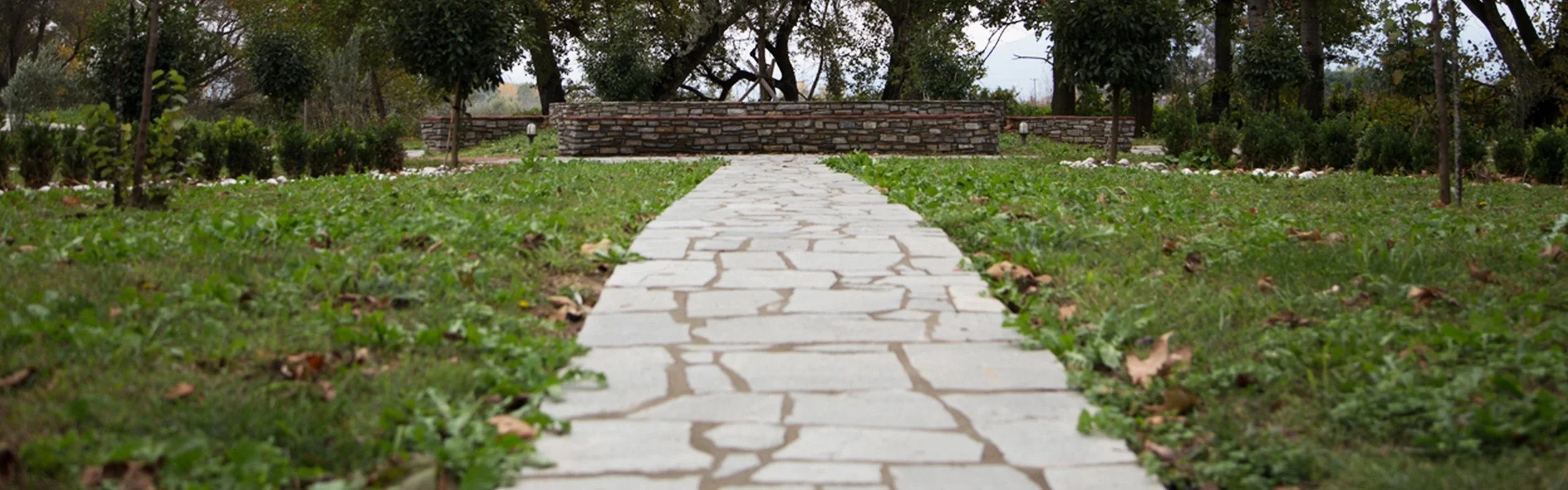 Thess-Next-Steps-Header.jpg
