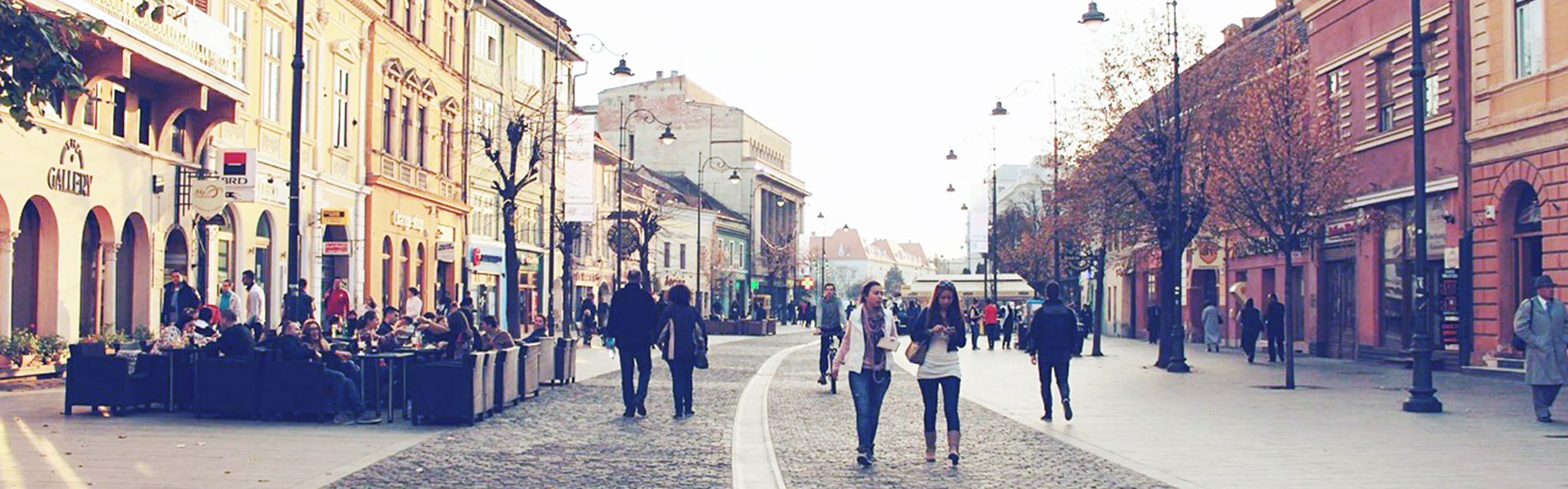 Home-Header-Image.jpg