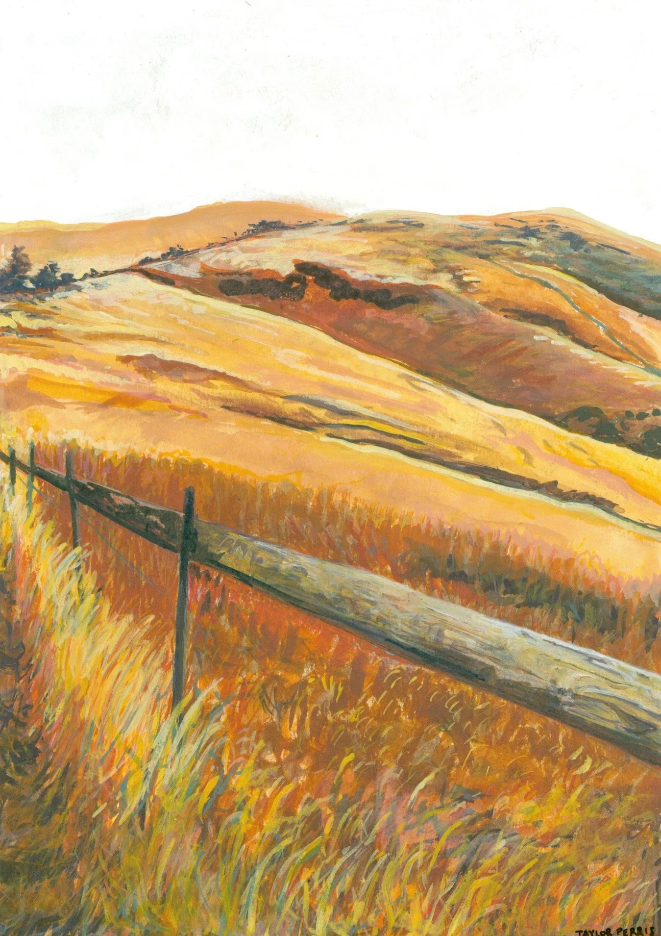 Petrolia Hills Scan 2.jpg