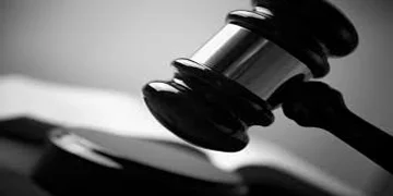 Litigation Support