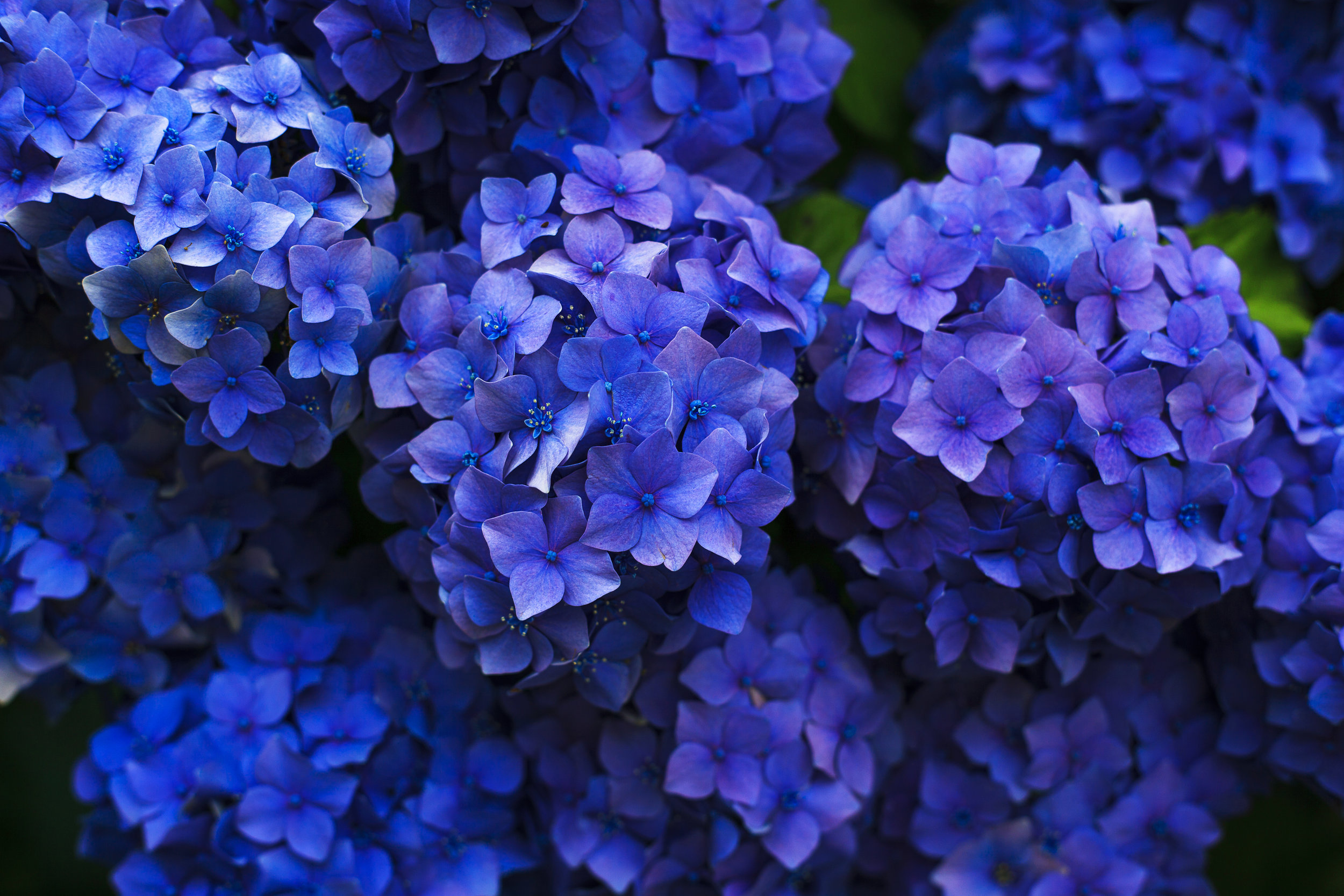 Brighten things up