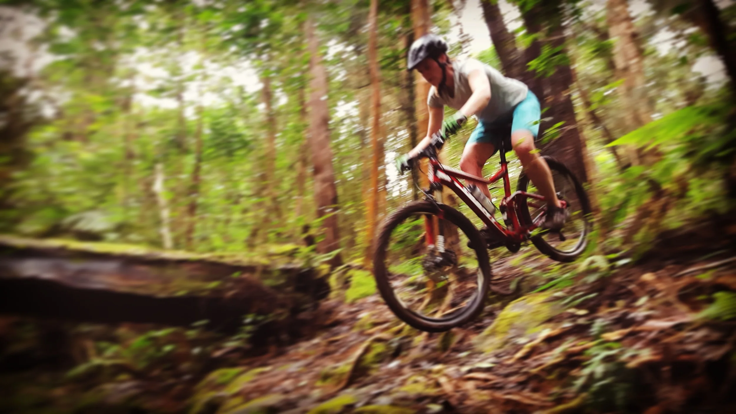Kalopa Trail