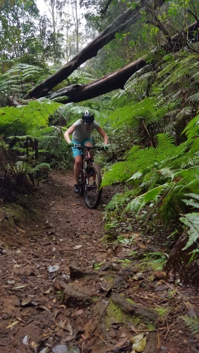 Wet and rooted "Jeep Road" trail.
