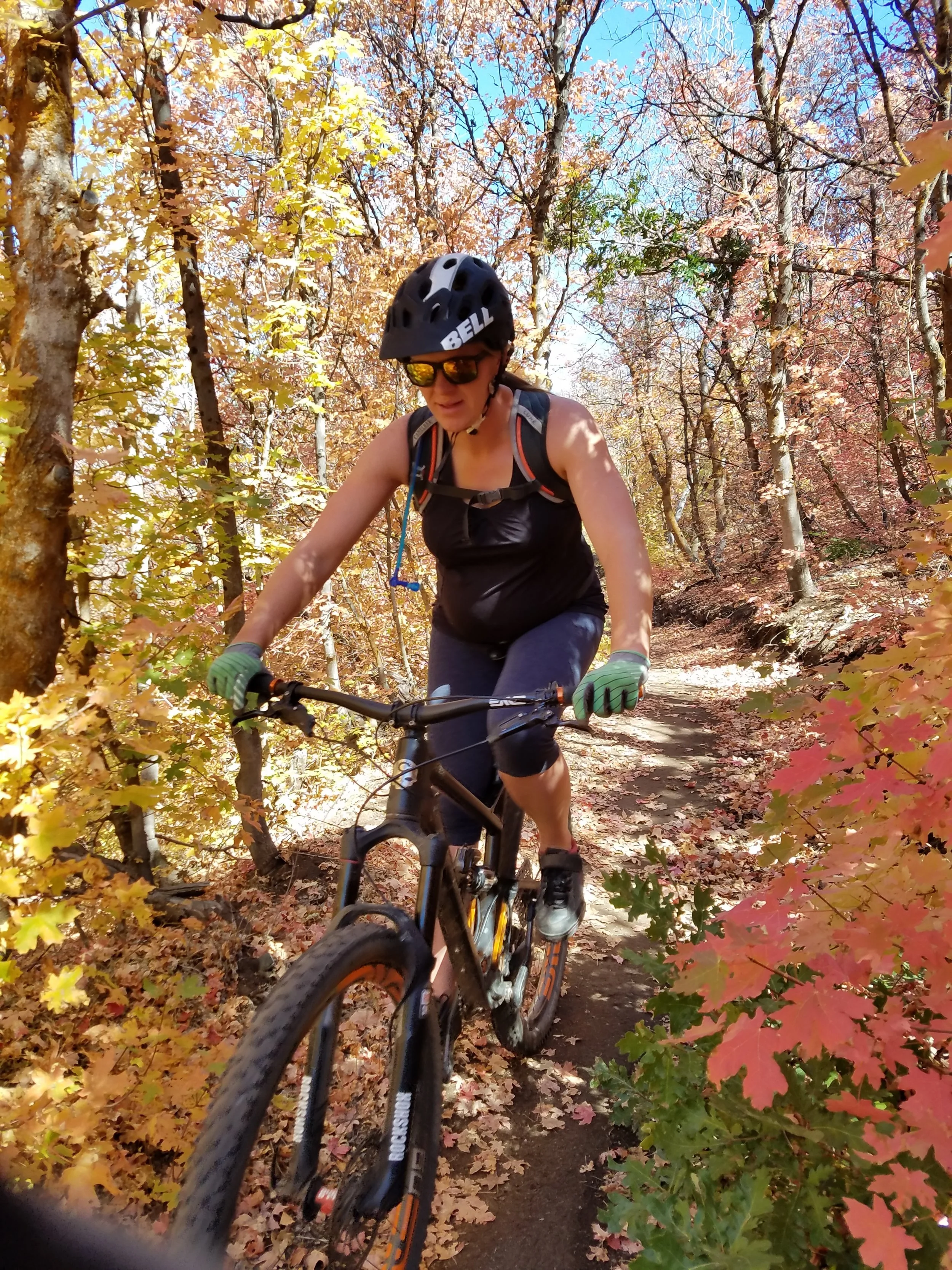 27 weeks - Coyote Trail, Heber
