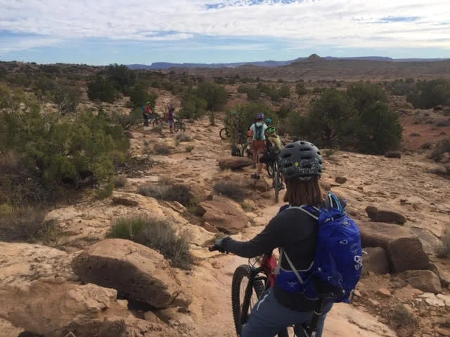 wmtb3.jpg