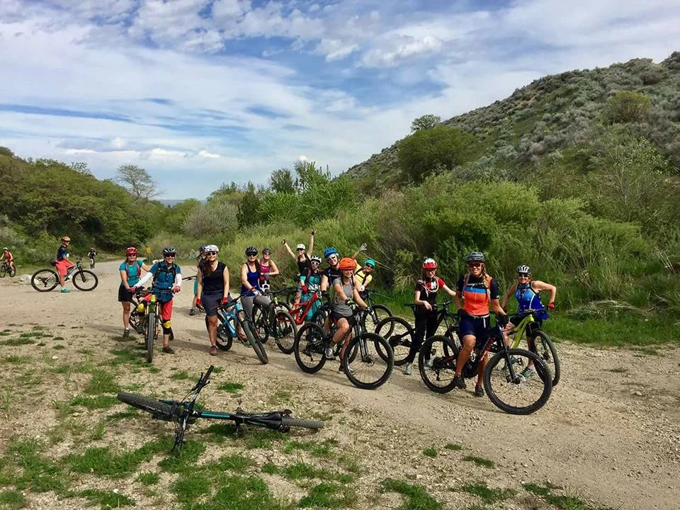 wmtb13.jpg
