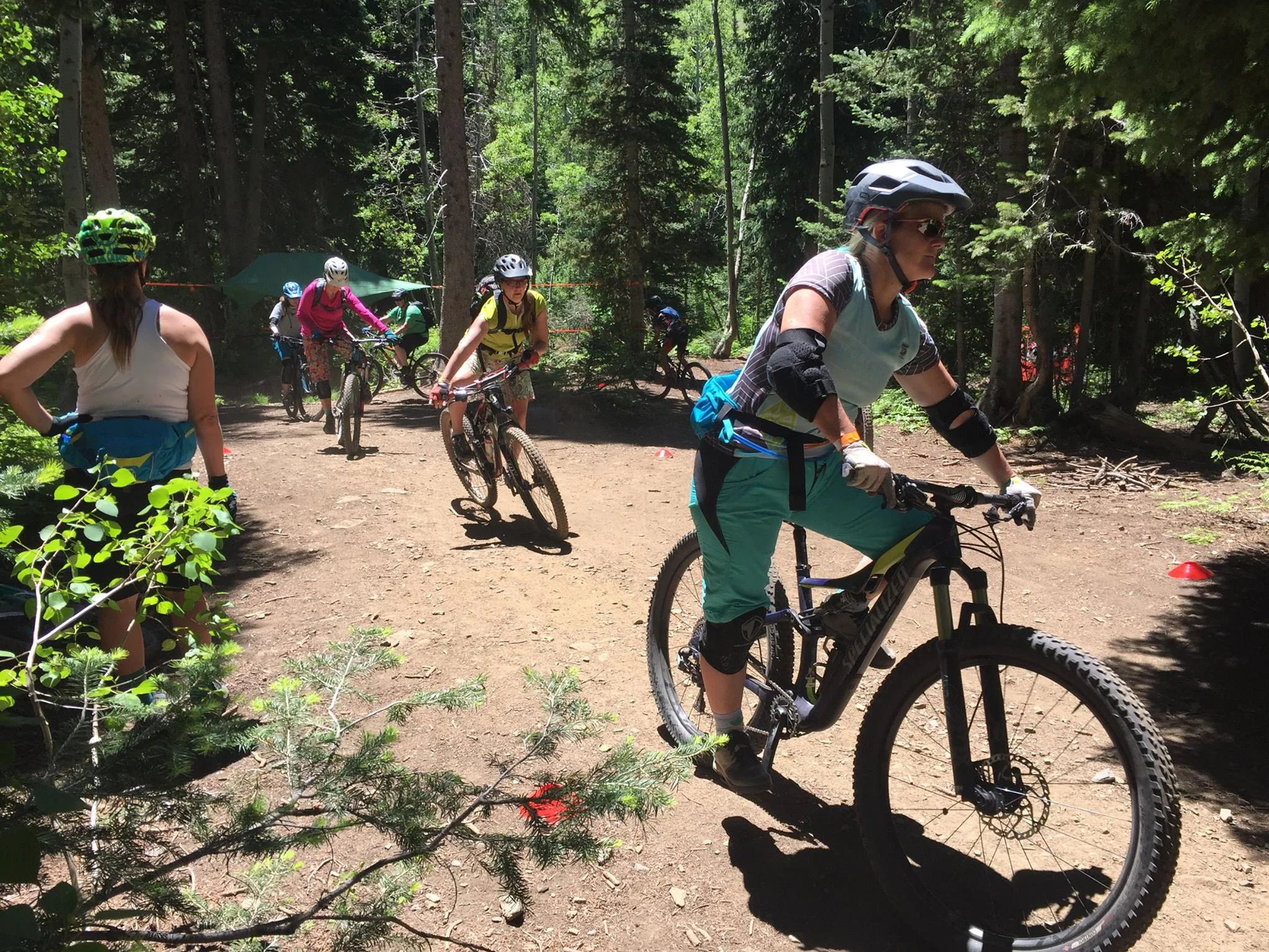 wmtb15.jpg