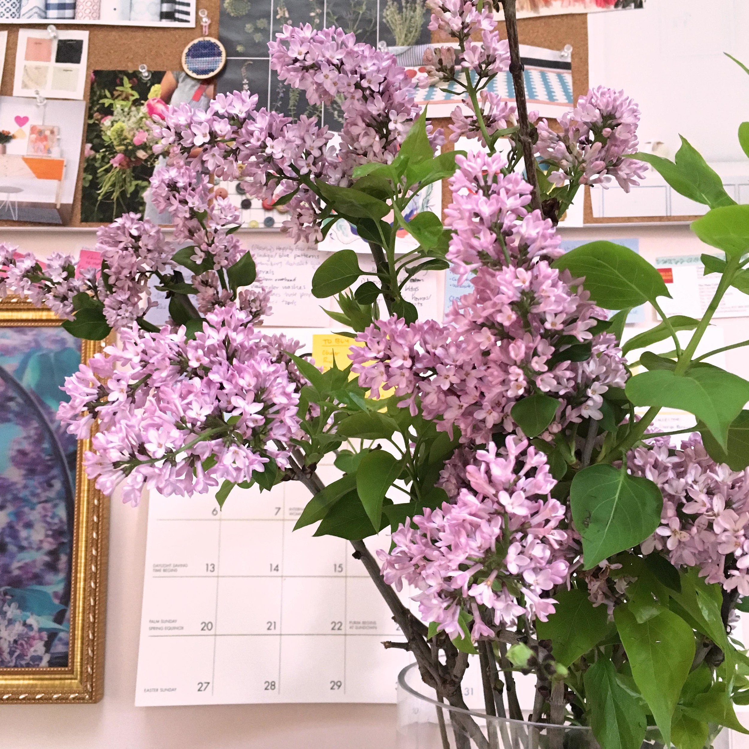 Studio flowers!