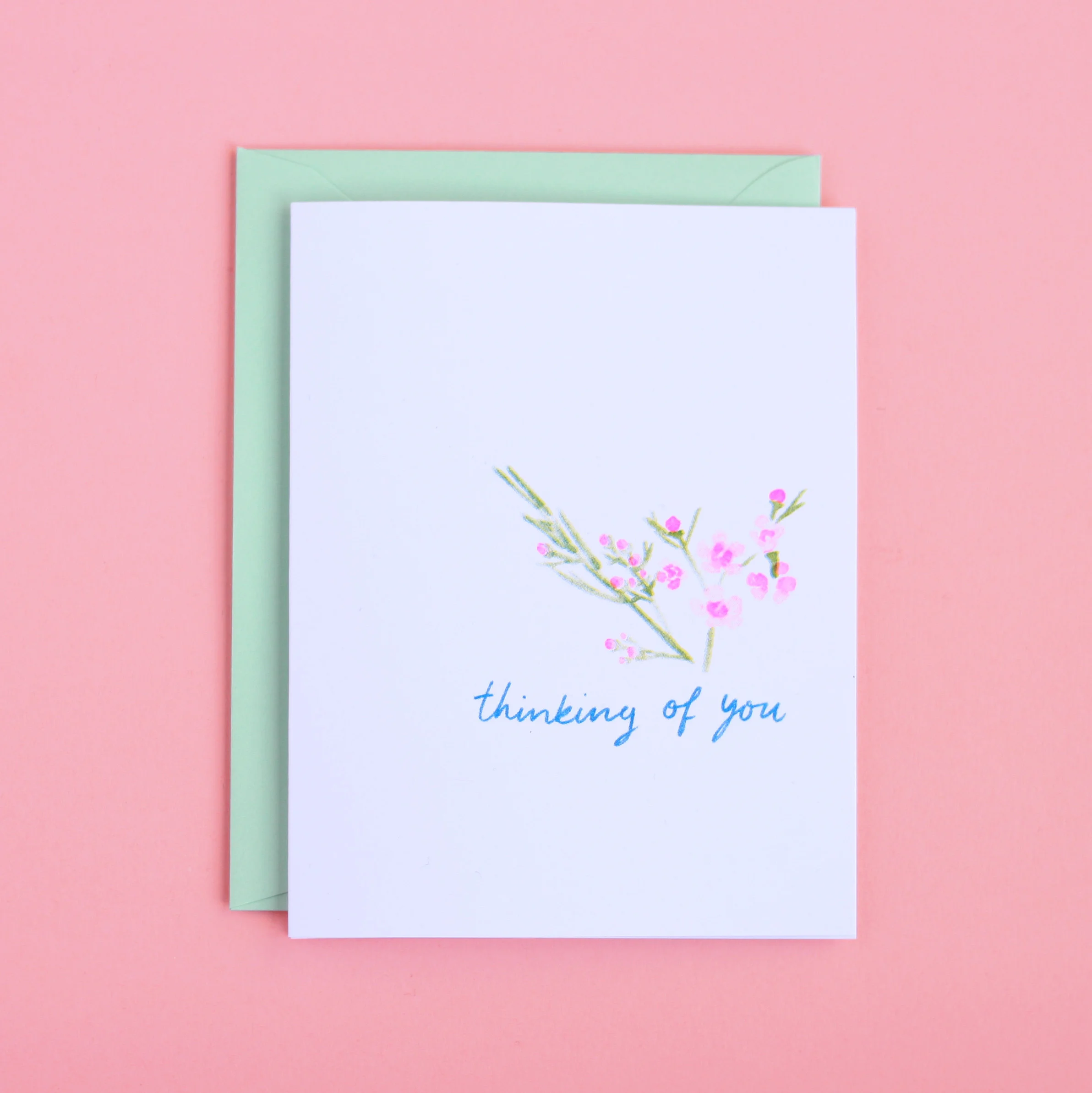 SYM004_WAXFLOWERS.jpg
