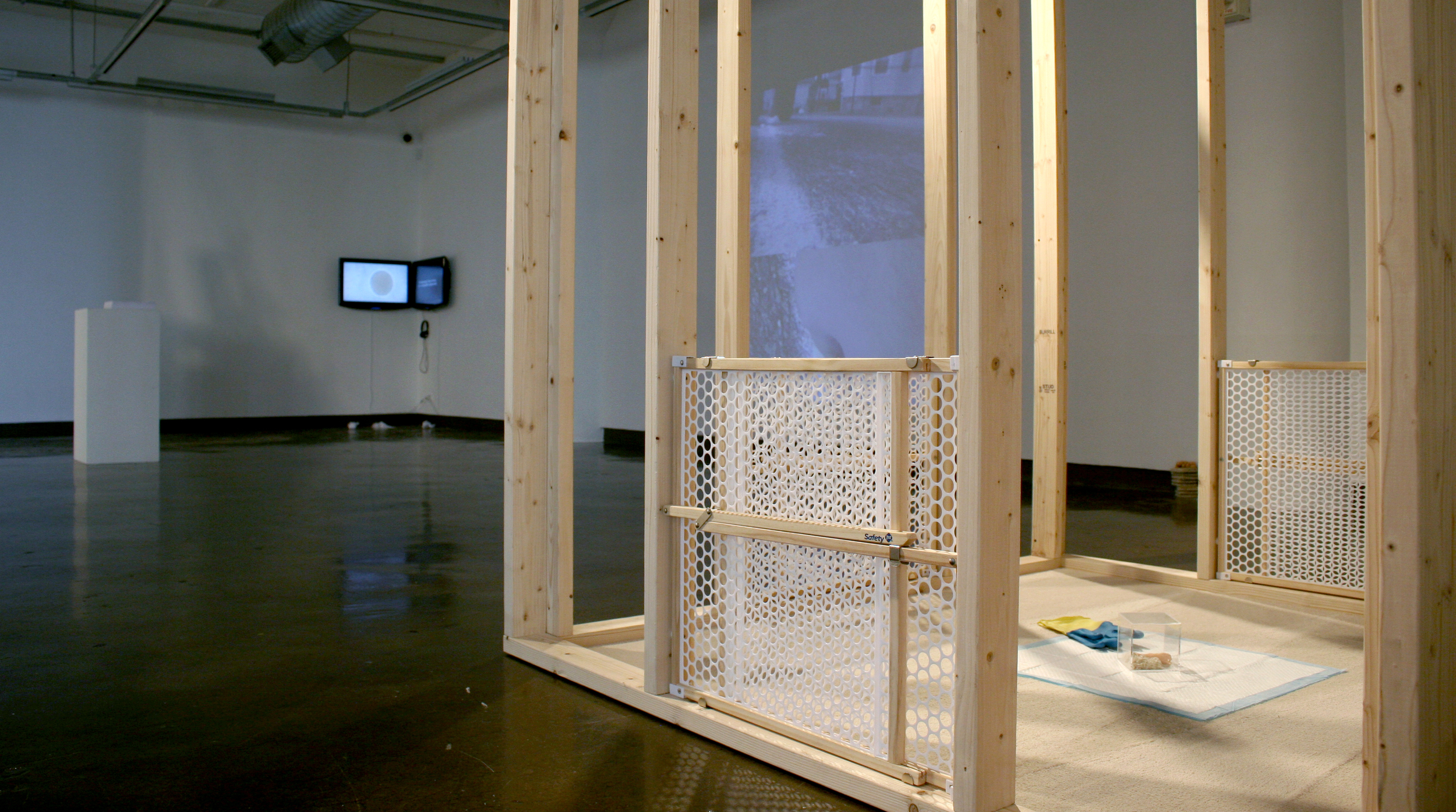 Sarah Grass’ installation of objects placed on “wee wee” pads atop a vacuumed carpet enclosed by baby gates creates an absurd invitation to mark one’s territory in this tidy space.