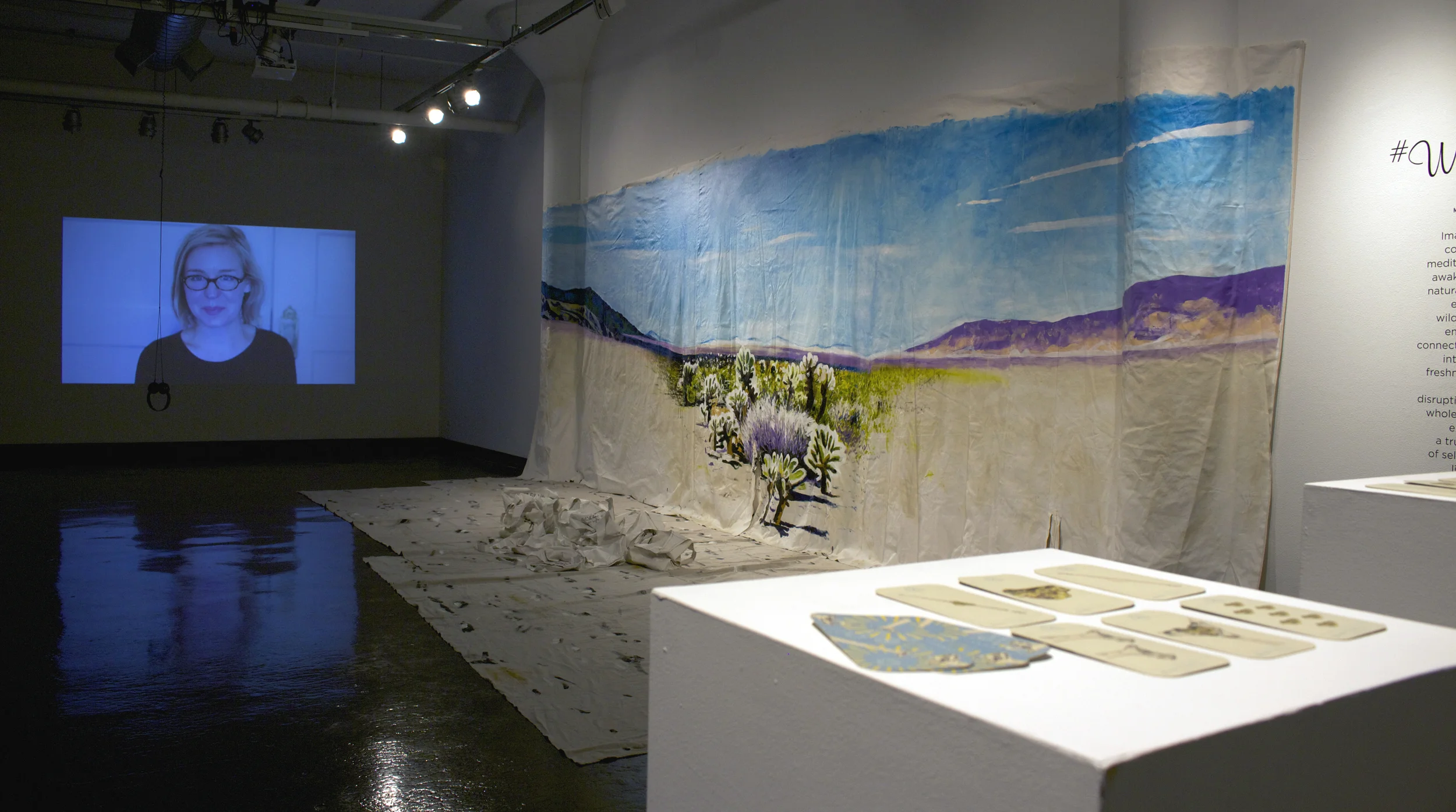 Alexandra Hammond’s Walliecamp and Goldlugger juxtapose the mythos of the American West with the syntax of contemporary enterprise.