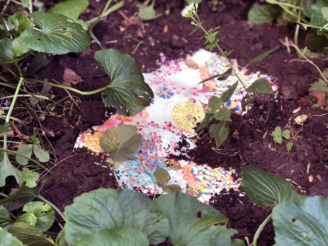 Dig for Victory (Wildflowers)