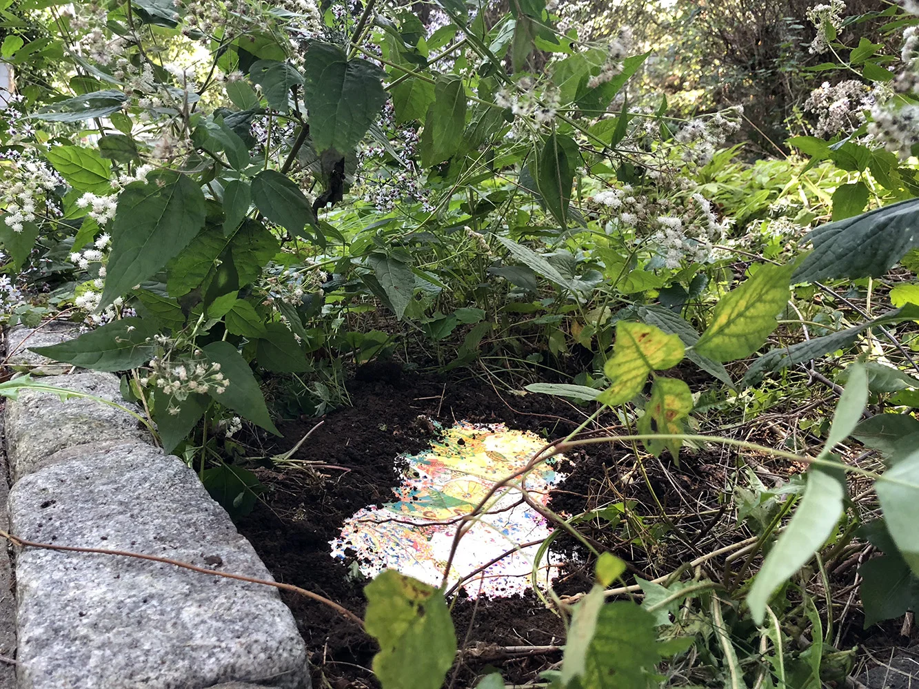 Dig for Victory (Wildflowers)
