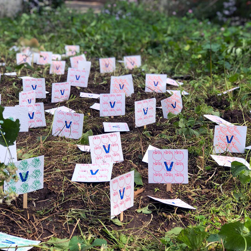 Dig for Victory (Vegetable Garden) 