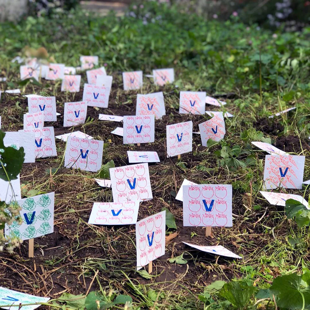 Dig for Victory (Vegetable Garden)