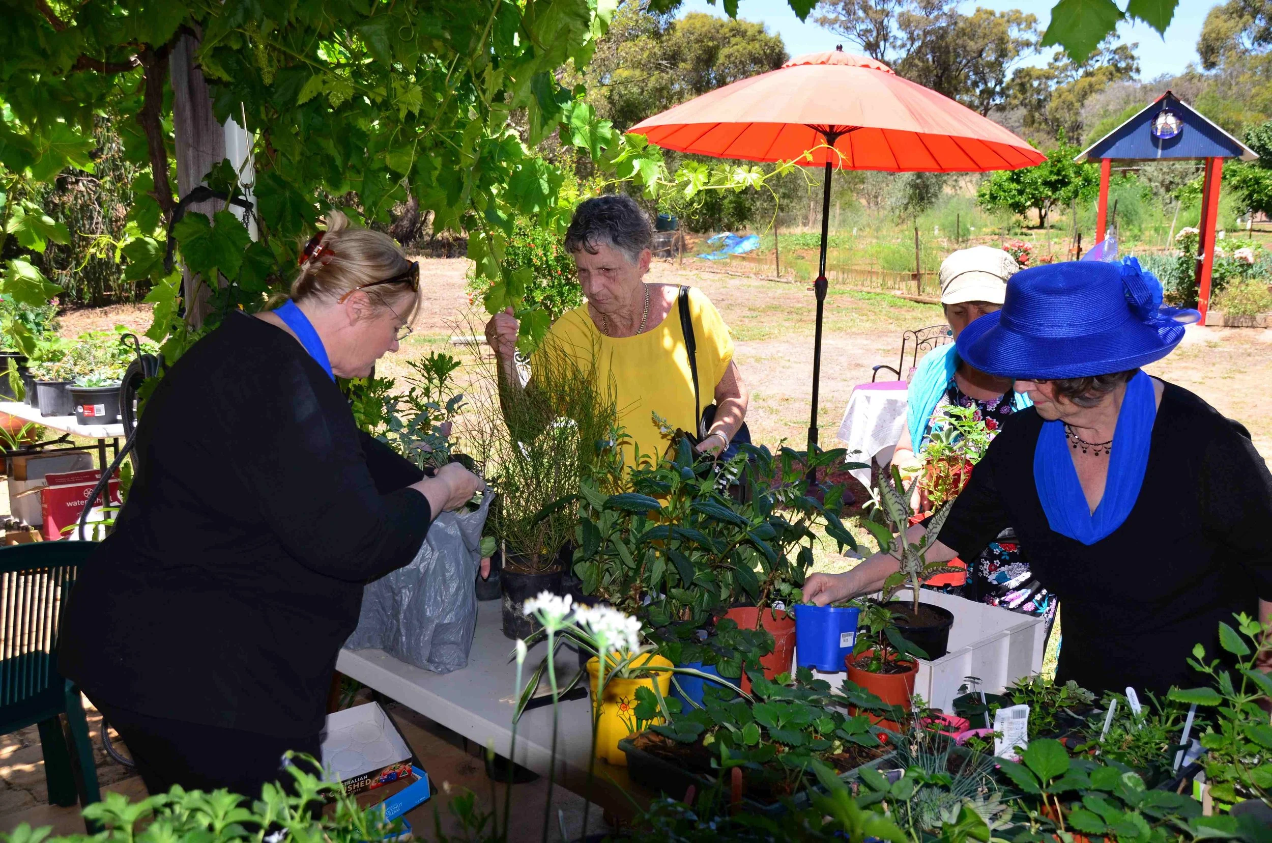MUSICAL GARDEN PARTY