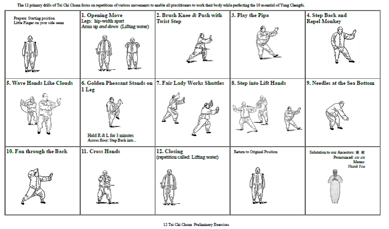 24taichi chuan simple series / he... 