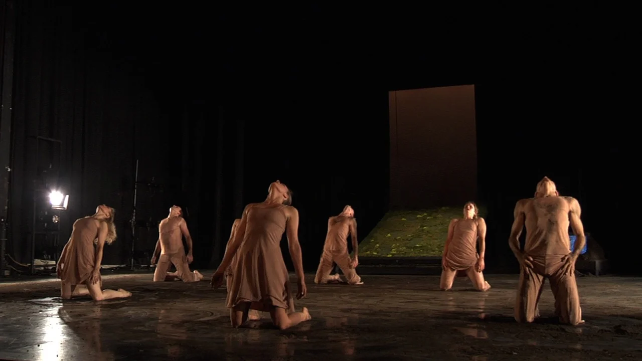 Hope Mohr 2-27-09 Force that drives the flower .jpg