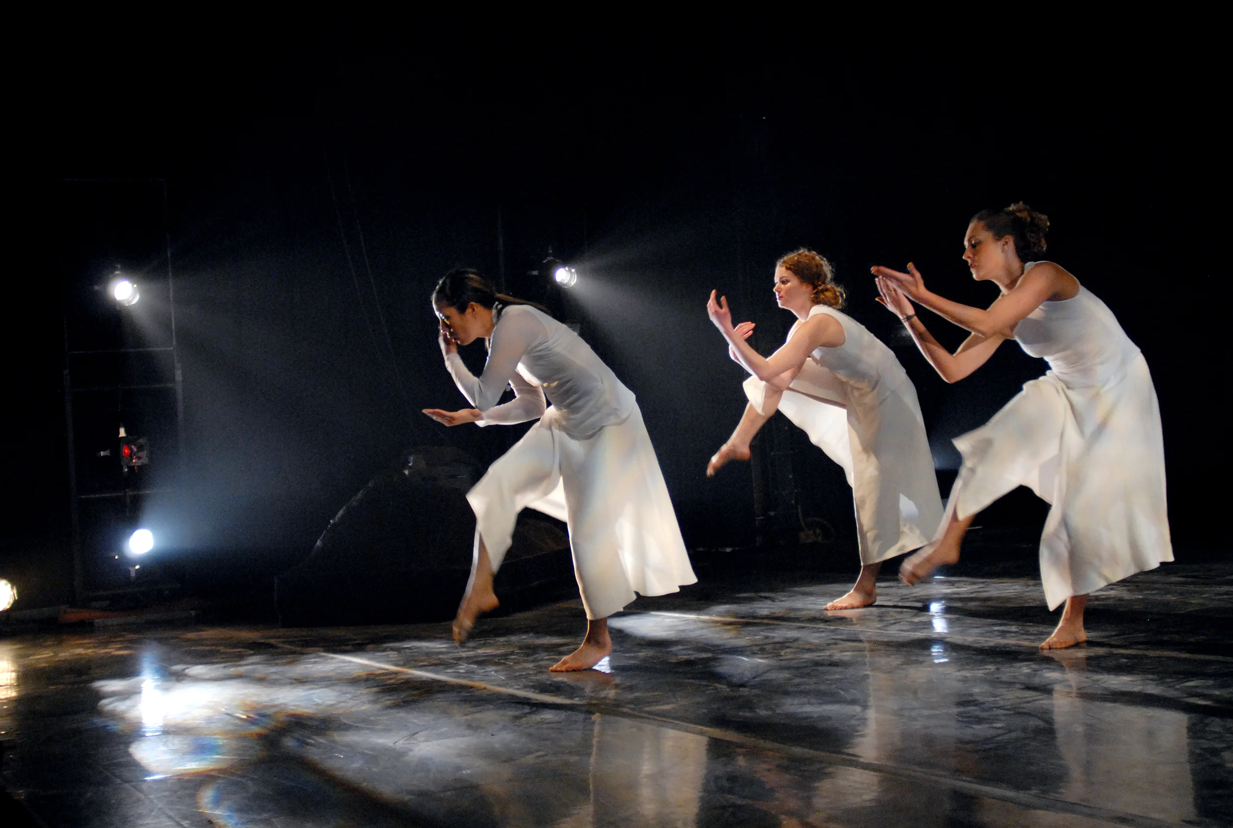 The Force that drives the Flower 2009 