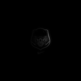 nike-sparq.gif