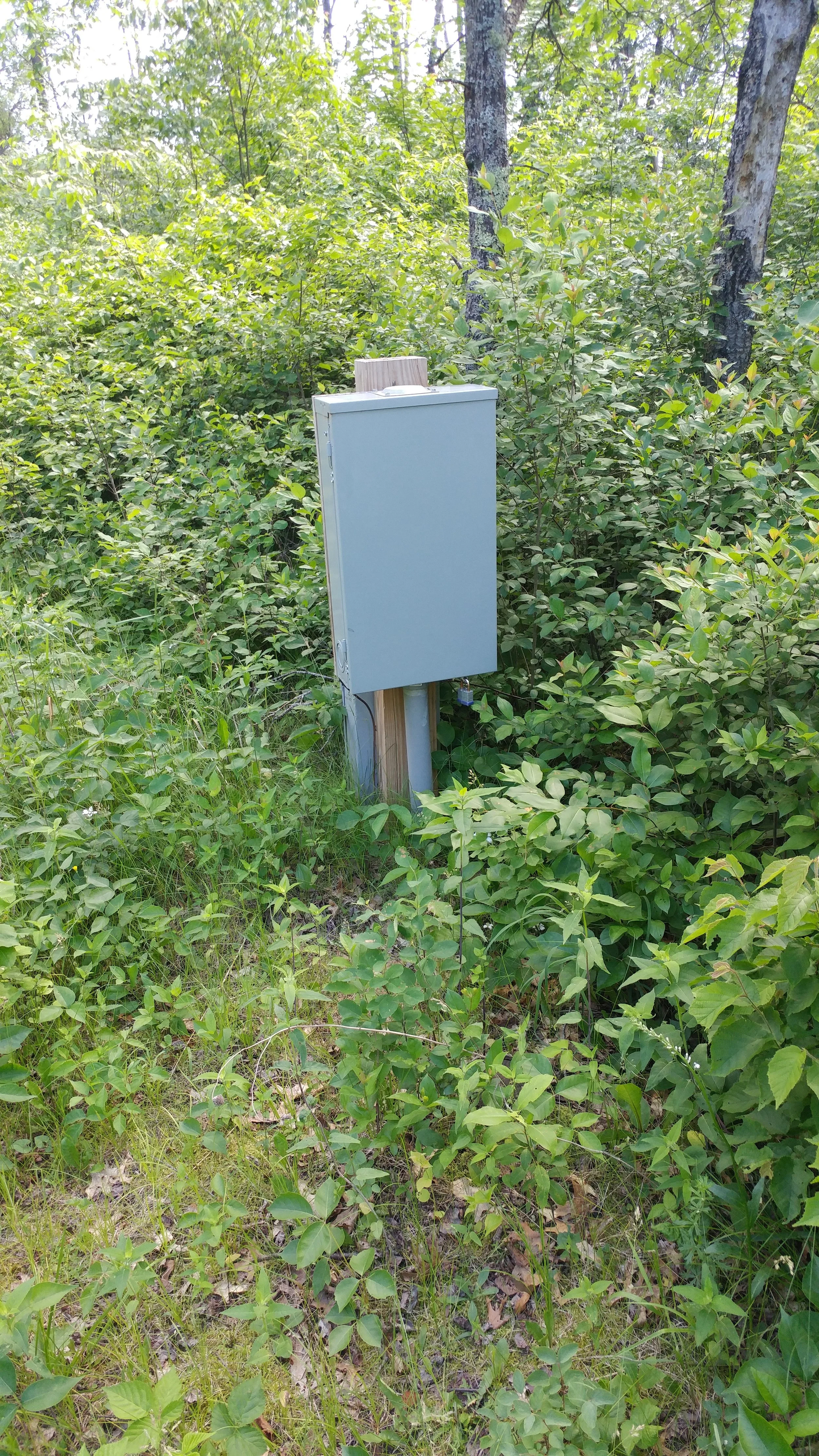 20170621_155339.jpg